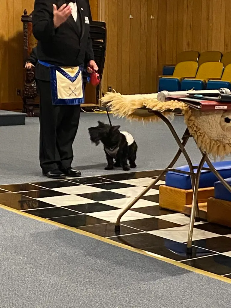 Photo Dec 08, 1 47 50 PM